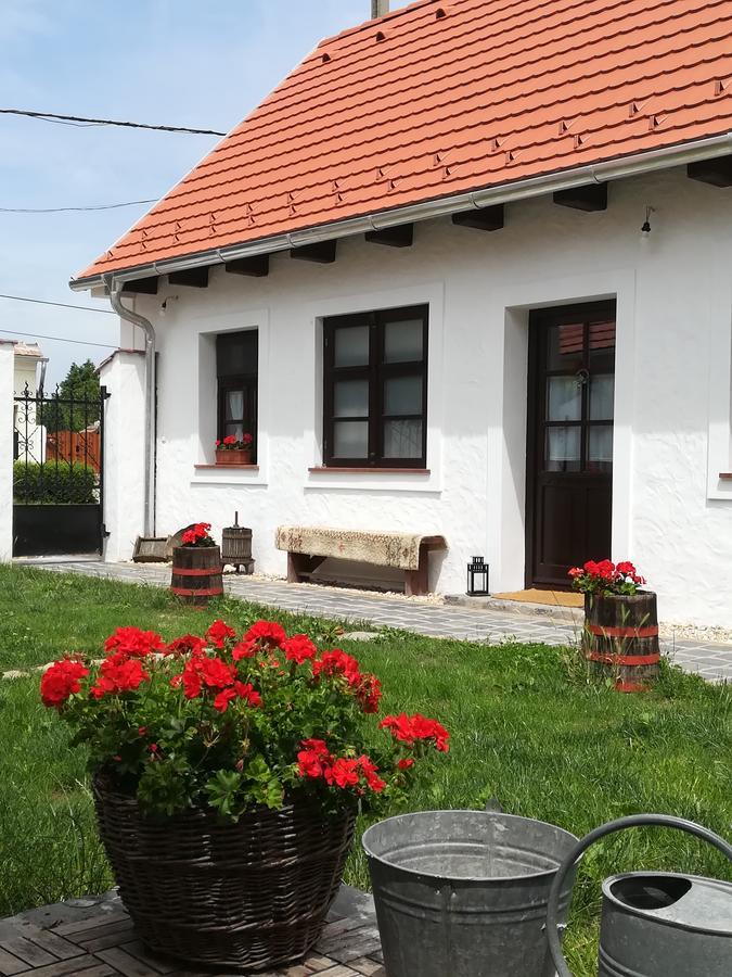 Szent Ivan Vendeghaz Tata Exterior foto
